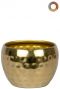 Ter-steege-kody-goud-9cm