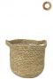 Ter-steege-nelis-naturel-16cm 2