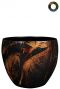 Ter-steege-vive-oranje-21cm