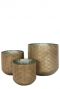 Trendy plantenbakken