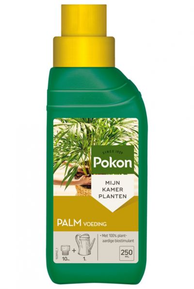 Pokon palmenvoeding