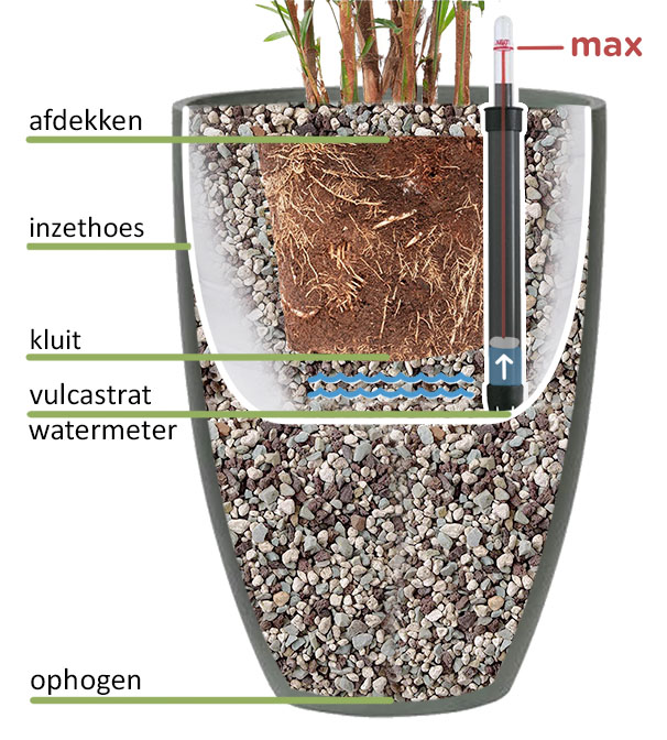 wonder Duplicatie Ten einde raad Vulcastrat informatie - 123planten.nl