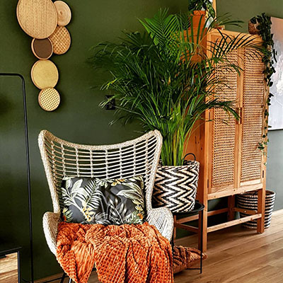 Areca Palm in mand woonkamer