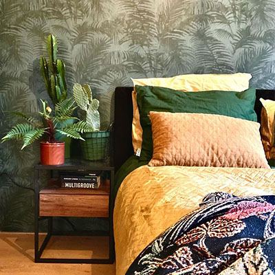 Cactus Opuntia in pot slaapkamer