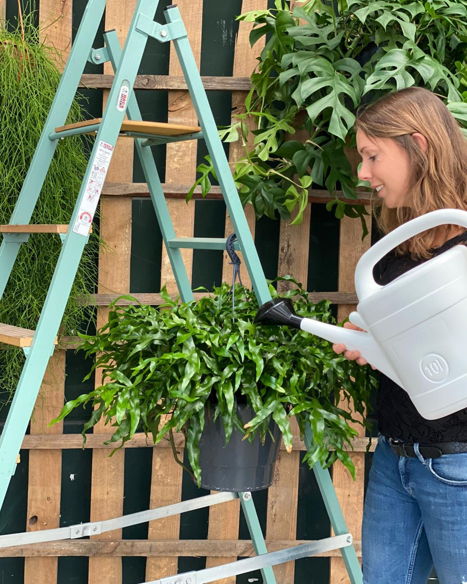 Hangplanten water geven