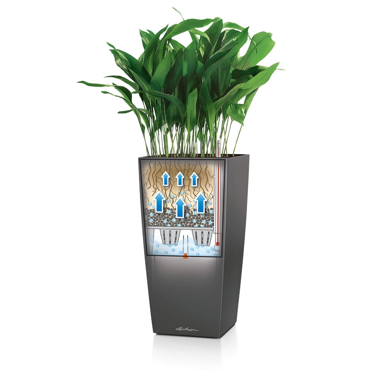 Lechuza Cubico Watergeefsysteem Lechuza Cubico Watergeefsysteem