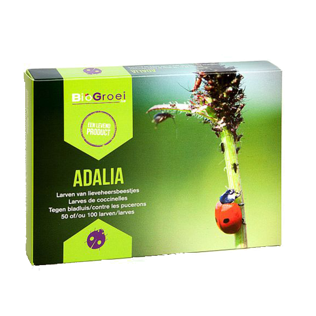 Adalia als bestrijdingsmiddel Adalia als bestrijdingsmiddel