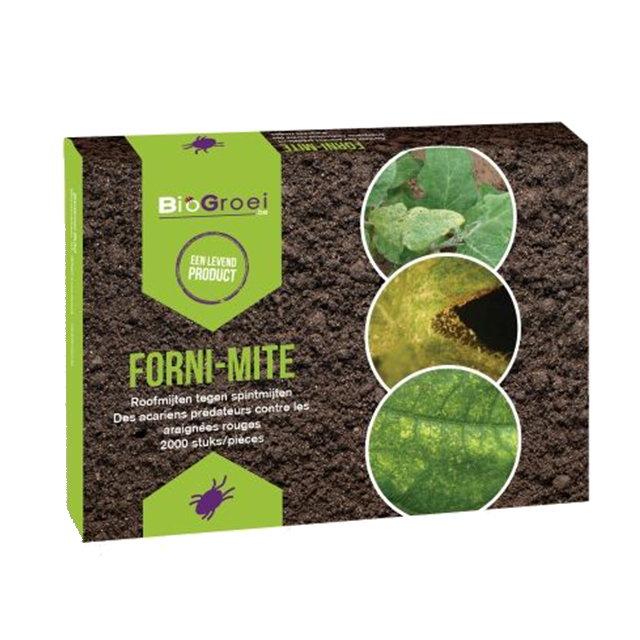 forni-mite als ongedierte bestrijding forni-mite als ongedierte bestrijding
