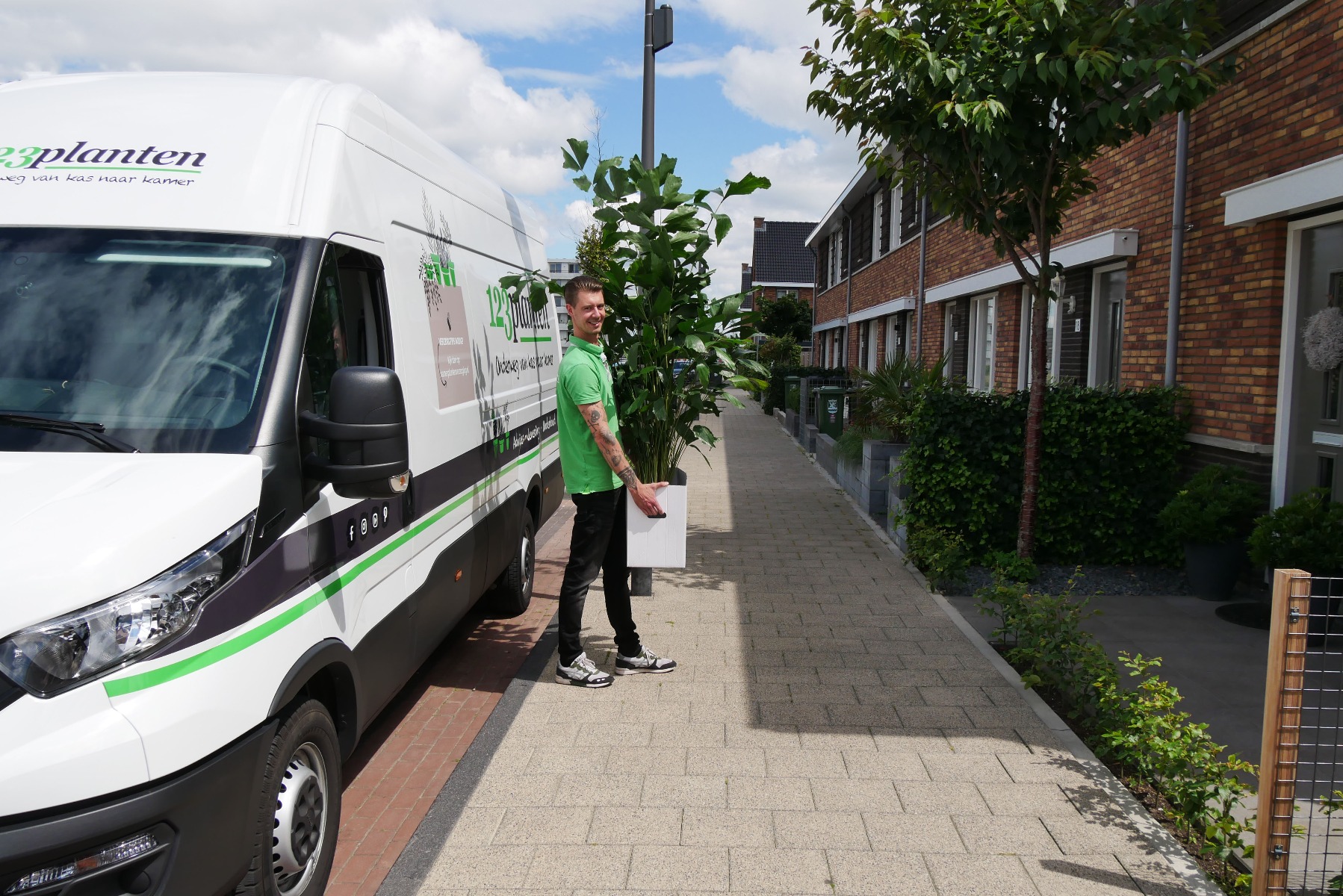 Grote kamerplanten bezorging