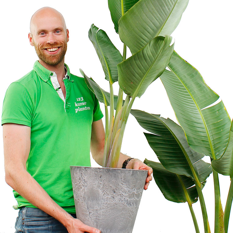 Michiel Michiel