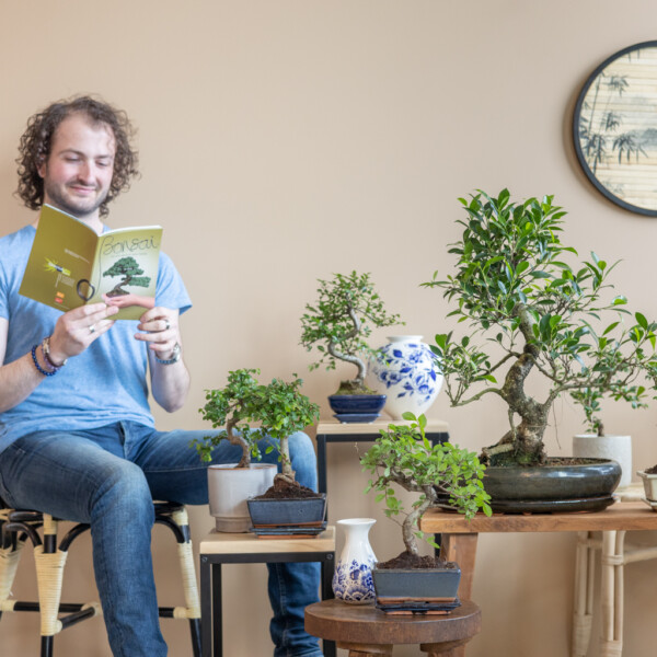 Bonsai voeding Bonsai voeding