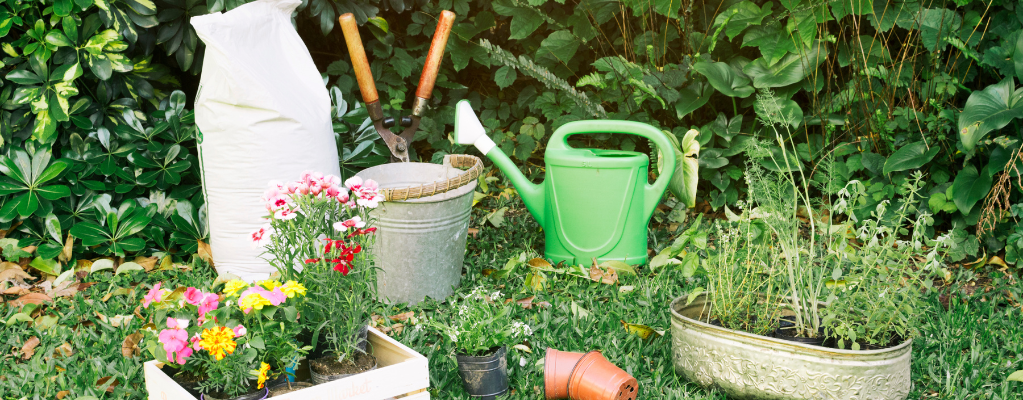 Top 10 tuinplanten voor een onderhoudsvriendelijke tuin Top 10 tuinplanten voor een onderhoudsvriendelijke tuin