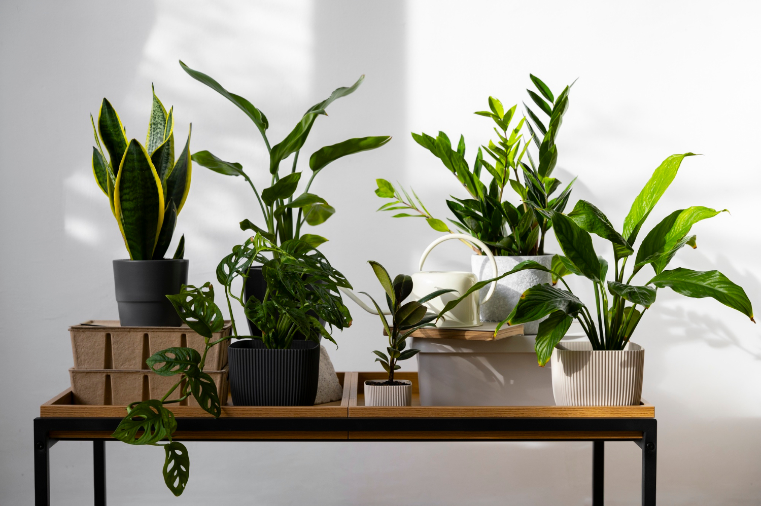 Luchtvochtigheid in huis verhogen voor planten in de herfst